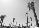 a (18)-1.jpg